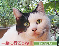 千夜見一緒に.jpg