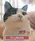 bn75.jpg