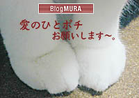 bnpote1.jpg