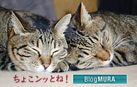 bnpu&pa.jpg