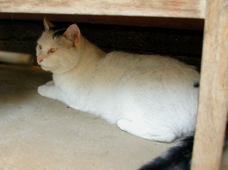 maru031.jpg