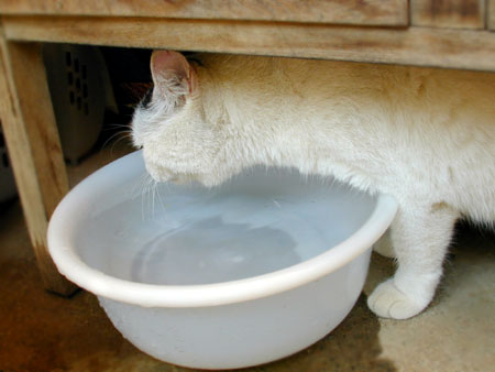 maru032.jpg