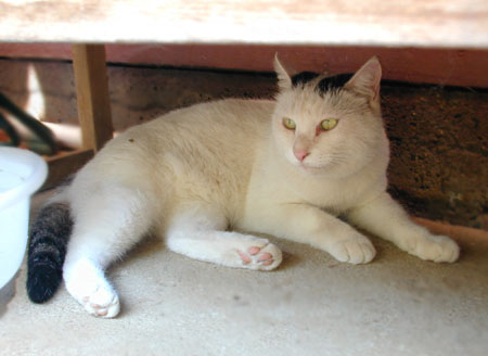 maru033.jpg