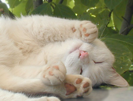 maru034.jpg