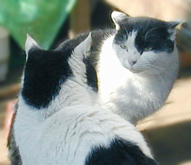 n2.jpg