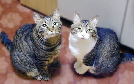 utuwa4.jpg